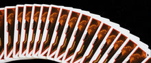Load image into Gallery viewer, Exodus